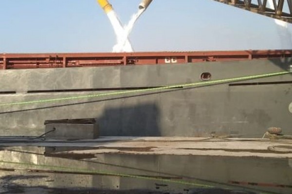 السيور الناقلة
